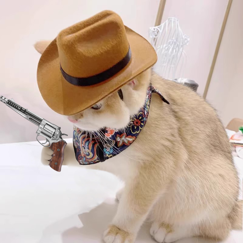  Cat Cowboy Hat Pet Head Acce - Cowboy Hat Straw 评论和价格